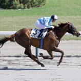 『5月の優勝馬🏆 part2』の画像