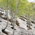 中ノ沢から菱ヶ岳，五頭山周回登山（裏五頭）