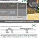 [中国国営金鉱山集団のガブ呑みは進む]