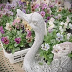 大洋グリーンブログ