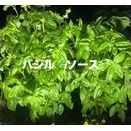 #岐阜商業　#打合せ資料　#測量見積　#洗車　#倉庫掃除　#台風🌀