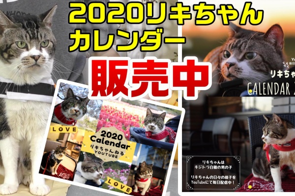 リキちゃんねるブログ 猫とおいしいもの カレンダー販売