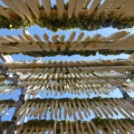 団塊おじさん自転車日和