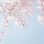 片づけの向こう側～奇跡の3日片づけ&夢をかなえる7割収納～