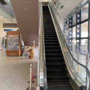 �������Ͽ޽�۵٤ߡ��뤴�ӡ�ʿ��η���ɤ����Ф�