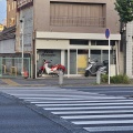 最近の色々など　(*ΦωΦ*)にゃー