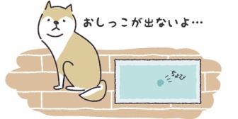 旦那と旅行に行ったんだけど喧嘩してしまった…しばらくすると旦那「おしっこが…出ない…」