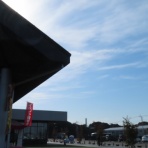 トラさんの純真