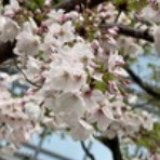 With Tsuyoshi Domoto ～堂本剛さんと共に～