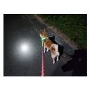 12月23日　福岡県八女市E様倉庫新築工事の建方