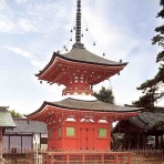 南坊園のブログ