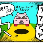 ぽぴぴとモフモフねこちゃんズの暮らし
