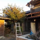 大刀洗町で庭じまい「お庭の終活」をしました