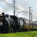 秩父鉄道 SLガリガリ君エクスプレス 大麻生〜明戸 2026/08/08