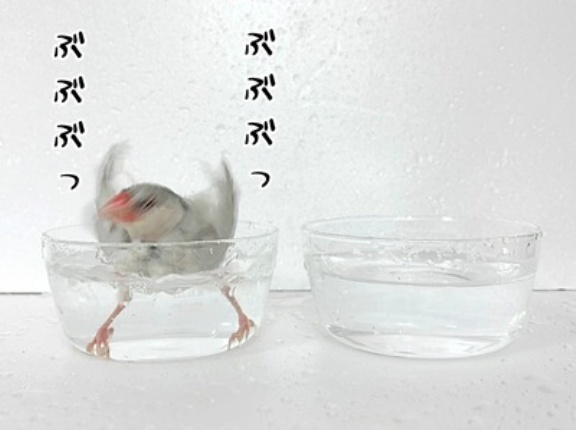 それぞれの達成感