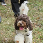 渋谷教育学園幕張高校野球部公式ブログ