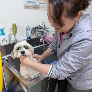 NPO法人ペット里親会