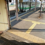 『長万部駅に珍客現る　白ボウズ+旭山動物園号』の画像