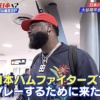 【日本ハム】レイエス テレビ東京系列 Youは何しに日本へでインタビュー！