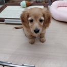 7月