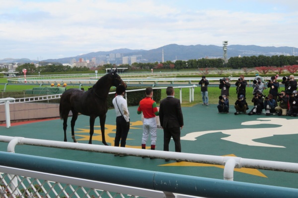 ゆきぞうと愛馬たちの自転車操業中 ラフィアン