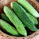 8月