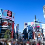 さえひろでいず