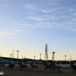 ～もしカメ～　ナオキ　ｎｏ　ぼちぼち　撮影日記