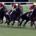 府中競馬場で3年ぶりに、東京優駿（日本ダービー）が復活する