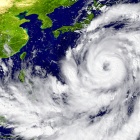 🎥🎧️牡蠣にも台風が必要？驚きのメカニズム【異常気象】も防ぐ