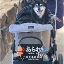 「アトムとの合わせ技だけど、日本三景を制覇したのよ!!」(謎)～宮島に初めて行きました～