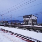 『今日見た夢』の画像