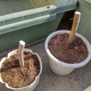 ����Ϥݤ��ݤ��Ǥ���(^_^) �������㤤�˹Ԥ�����Ǿ¤��ͻҤ����ˤʤ�Ω����ä���ޤ���(^_^)