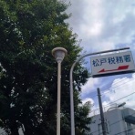 LOWRIDERFACTORY Classic car repair shop (ﾛｰﾗｲﾀﾞｰﾌｧｸﾄﾘｰﾌﾞﾛｸﾞ)