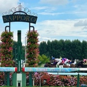 デジカメで撮影した雪まつりの大雪像