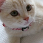 哲学ニュースnwk