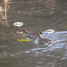 大事な物じゃなかったのね～