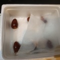 ベトナム産ライチを食べたあと　どーする？