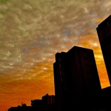 『大歓声〜東京に住んでいて後悔していること　vol.4156』の画像