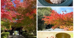 「円覚寺」の紅葉と、「弁天茶屋航」と、お寺カフェ