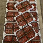 志津駅前　八百屋さん