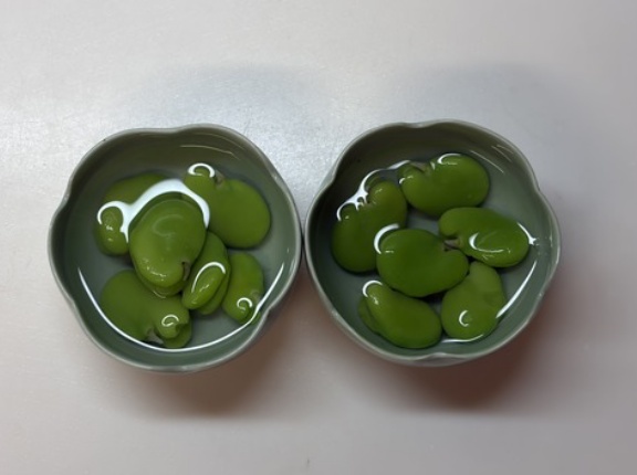 翡翠色のそら豆