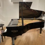 ただ素敵に弾きたいだけ