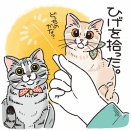 猫のひげを見つけたら