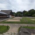 朝からお散歩