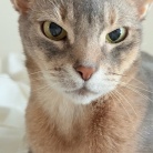 免疫力落ちた？蕁麻疹でて痒い߹-߹