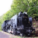 テツ散歩♪　ぶらっと（ ６３ ）　C58形98号機・D51形312号機－北海道＊
