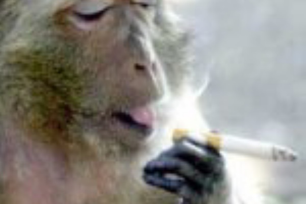 日本人 荒川ヒロシ Carry On Carry Out タスポ