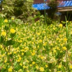 welcome to 『RE NEWS』