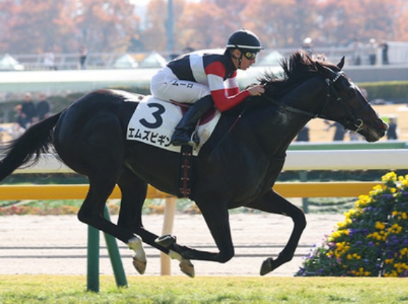 【京都新聞杯】６億円馬エムズビギンとは何だったのか